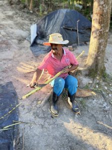 Nativo do Pati descascando cana