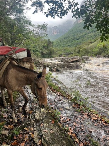 vale_do_pati_chapada_diamantina vale_do_pati_chapada_diamantina